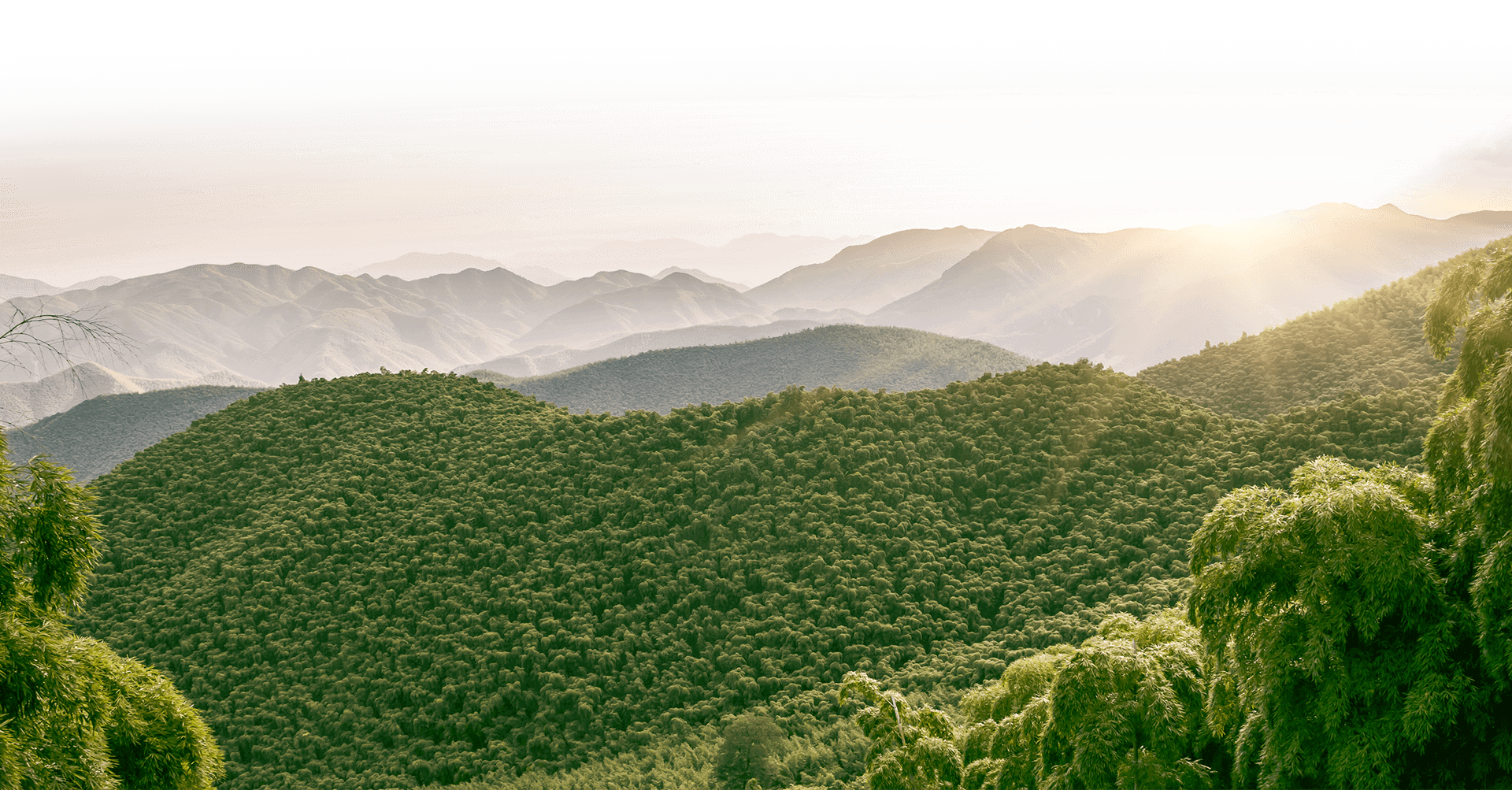 持続可能な発展