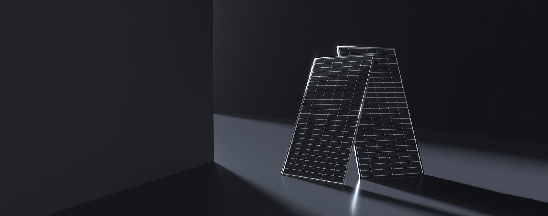 Sable シリーズ182mm TOPCon モジュール