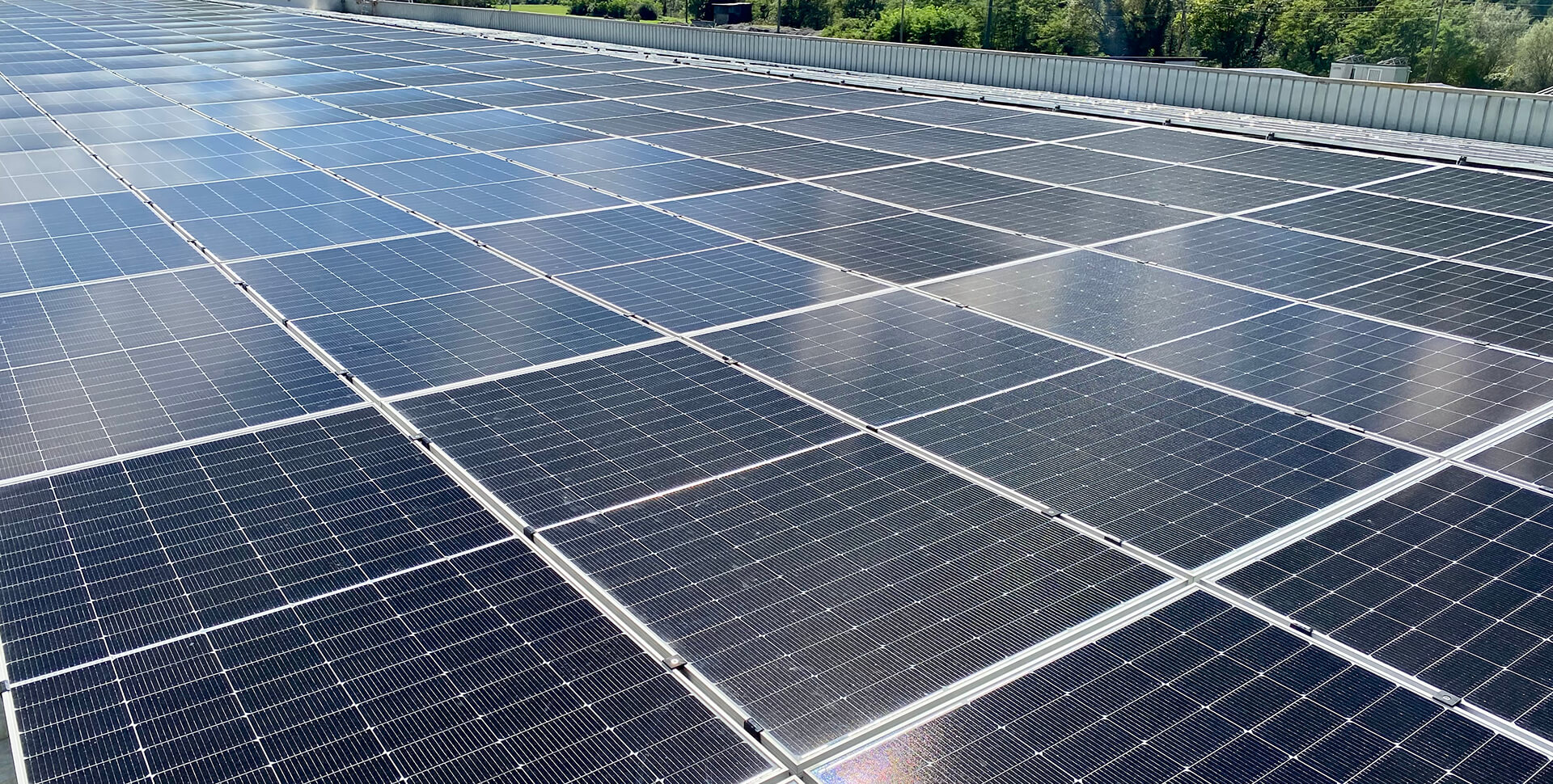 スイスC&Iプロジェクト