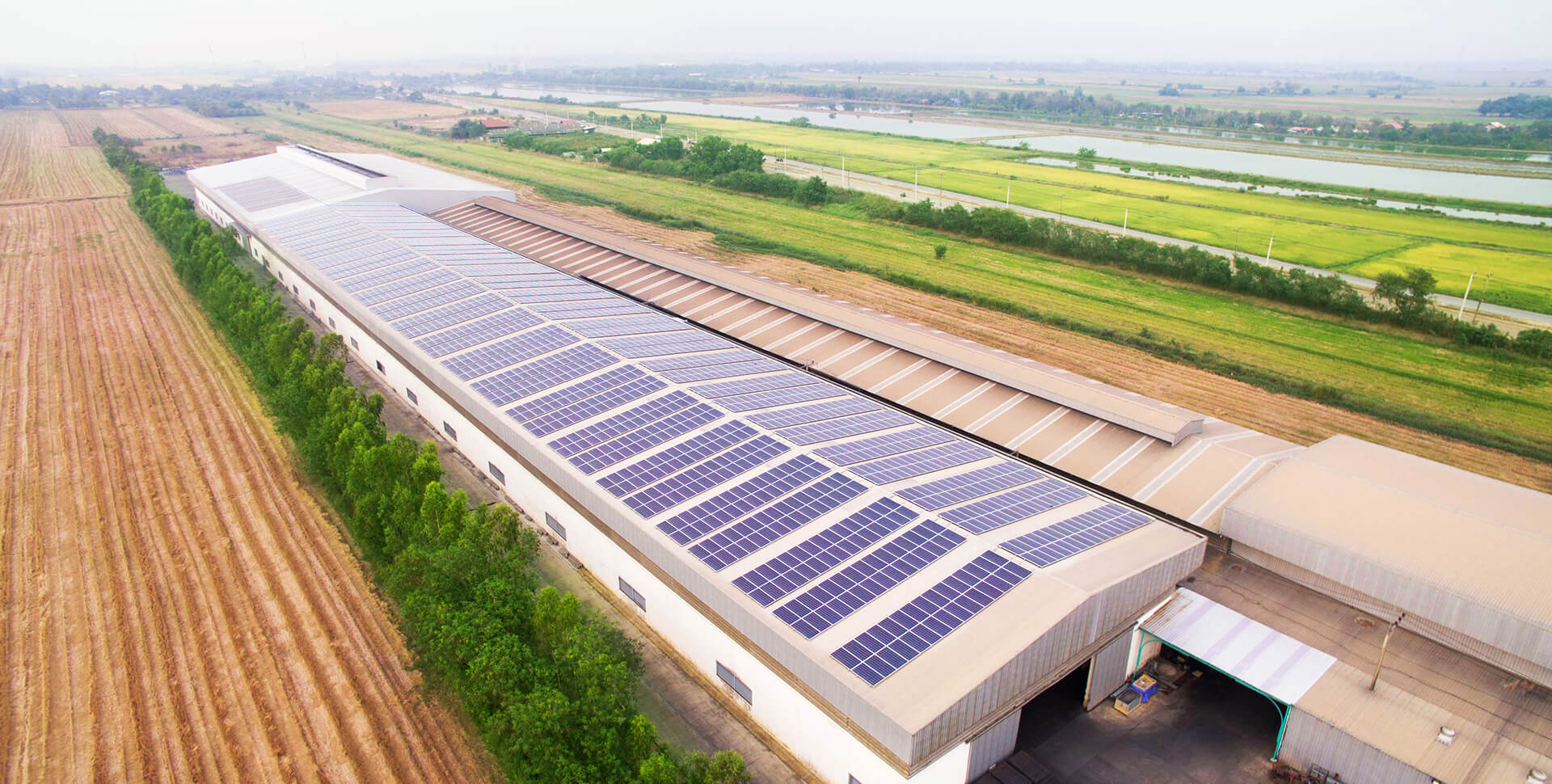 タイC&Iプロジェクト