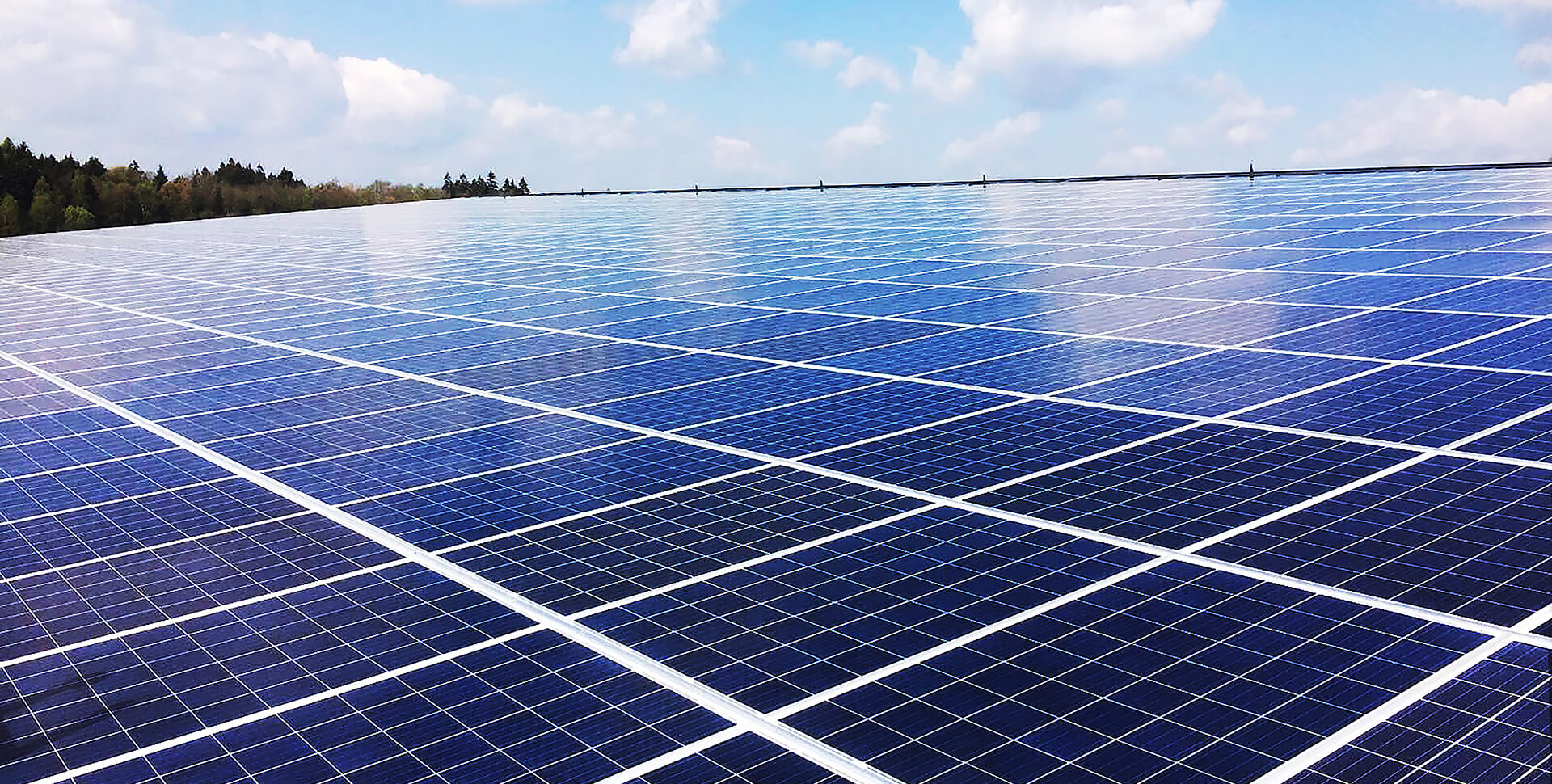 アムステルダムC&Iプロジェクト