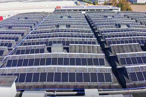 ダルミネC&Iプロジェクト