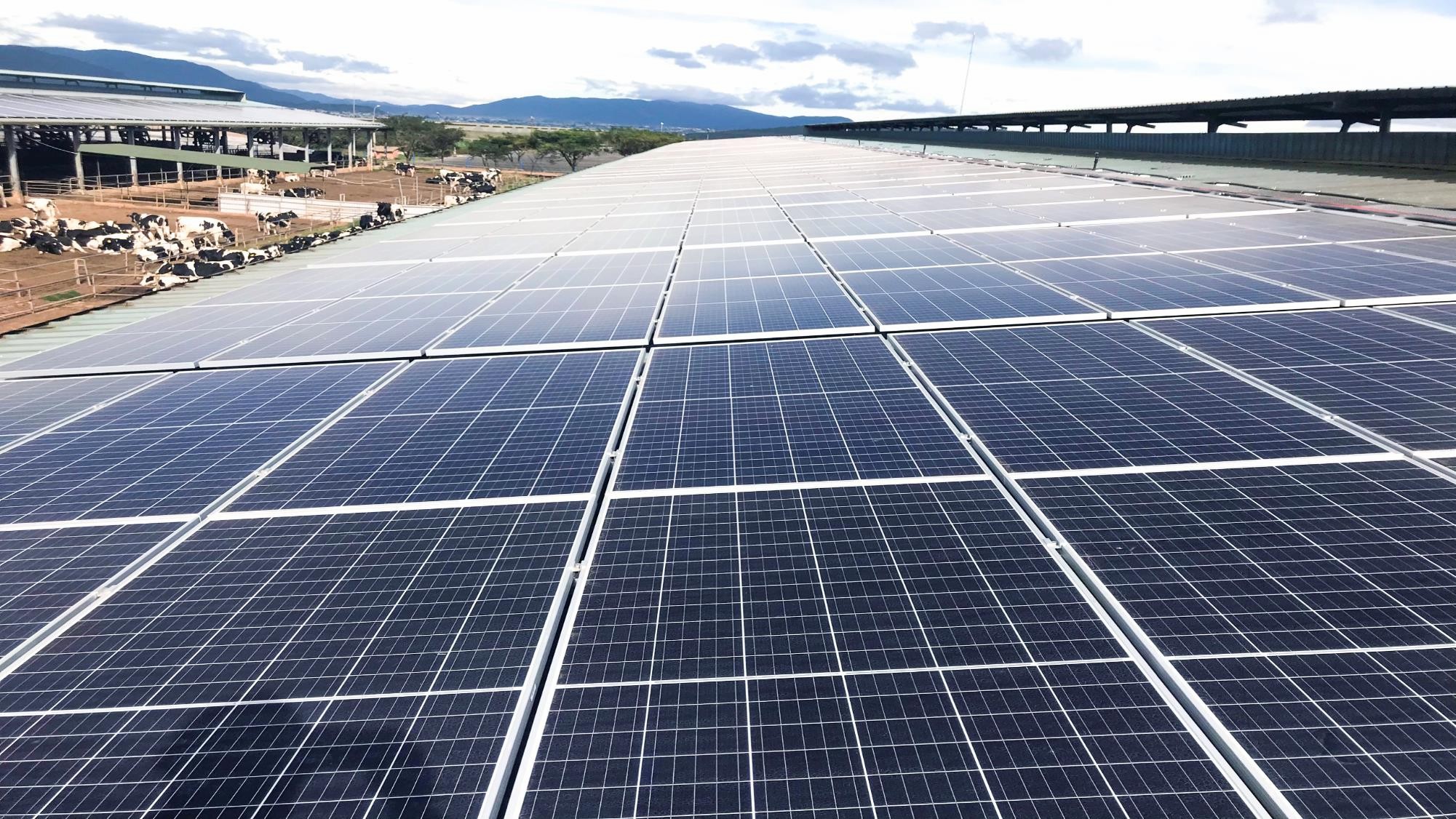 ベトナムC&Iプロジェクト