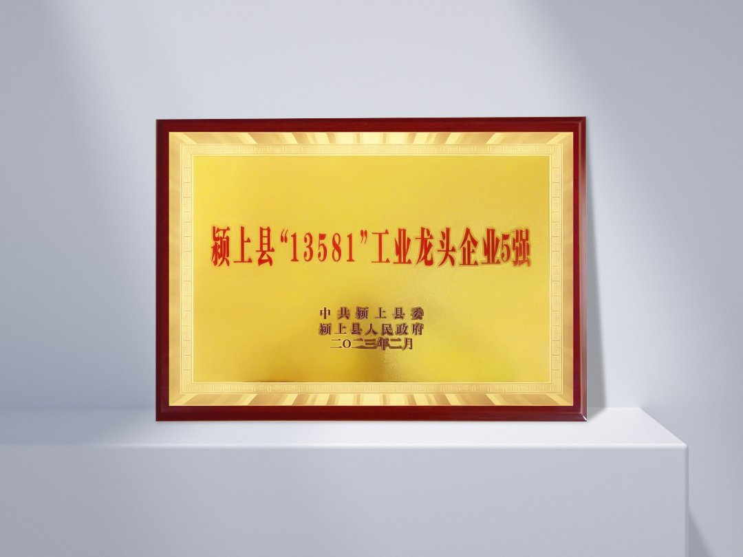 潁上「13581」産業リーダー企業トップ5