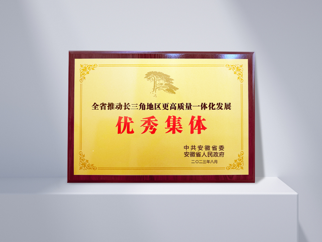 長江デルタ地域におけるより質の高い総合開発推進の優れた集団