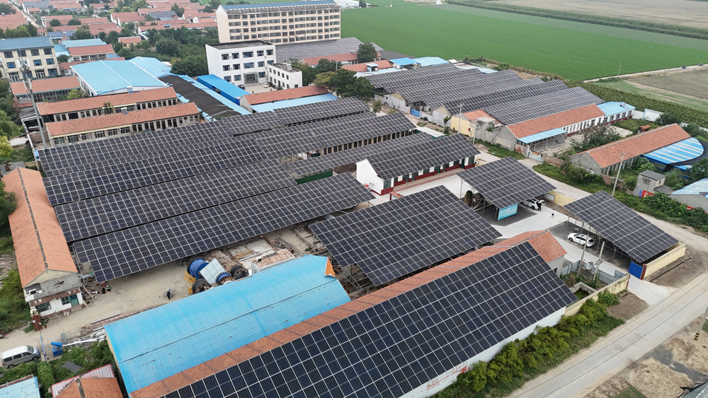 山東住宅プロジェクト